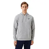Толстовка Reebok мужская IB2992 от магазина Супер Спорт
